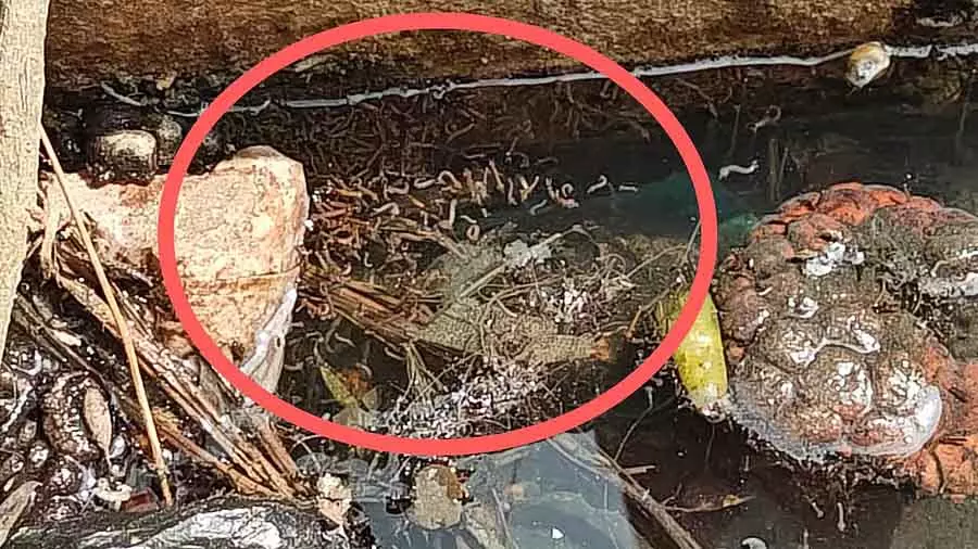 Chikkaballapur : गंदे नाले सीवेज का ढेर Chikkaballapur : गंदे नाले सीवेज का ढेर