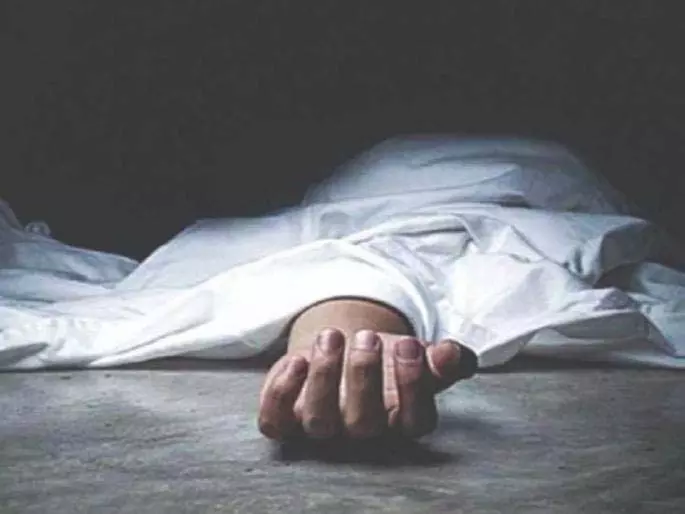 psychiatric hospital में मधुमक्खियों के जानलेवा हमले में एक की मौत, 39 घायल psychiatric hospital में मधुमक्खियों के जानलेवा हमले में एक की मौत, 39 घायल