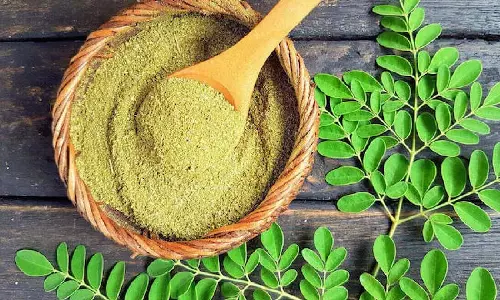 Health: पेट की चर्बी पिघलाने के लिए सहजन की पत्तियों का इस तरह करें इस्तेमाल Health: पेट की चर्बी पिघलाने के लिए सहजन की पत्तियों का इस तरह करें इस्तेमाल