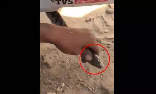 Aligarh :बाइक के इंजन से निकला सांप, गांव में मचा हड़कंप Aligarh :बाइक के इंजन से निकला सांप, गांव में मचा हड़कंप