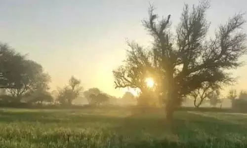 दुर्ग सबसे ठंडा रहा, इन जिलों में शीतलहर