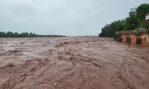वियतनाम में बाढ़ की तबाही: 67,700 से ज्यादा घर डूबे, अनाज और पशुओं पर भी आया संकट