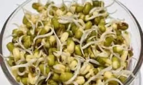 Weight loss : इन 5 तरह के स्प्राउट्स को आप कर सकती हैं ट्राई Weight loss : इन 5 तरह के स्प्राउट्स को आप कर सकती हैं ट्राई