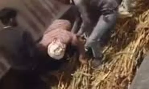 Lakhimpur Kheri: सरजू सहकारी चीनी मिल में बड़ा हादसा टला Lakhimpur Kheri: सरजू सहकारी चीनी मिल में बड़ा हादसा टला