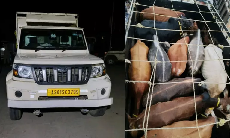 Assam : हाजो पुलिस ने 28 चोरी हुए मवेशियों को बचाया, छह गिरफ्तार Assam : हाजो पुलिस ने 28 चोरी हुए मवेशियों को बचाया, छह गिरफ्तार