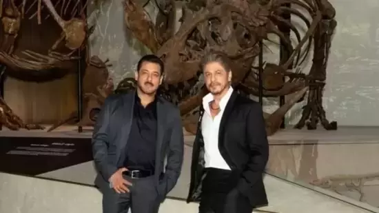 Shah Rukh और सलमान खान ने भाईचारा जारी रखा, अबू धाबी म्यूजियम का दौरा किया