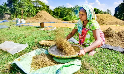 भारत में पिछले 10 सालों में फ़ूडग्रेन प्रोडक्शन में सबसे ज़्यादा बढ़ोतरी हुई