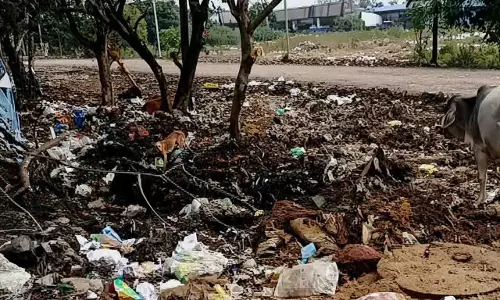 स्थानीय लोग चिंतित, भुवनेश्वर के K-6 में बढ़ रही कचरा डंपिंग स्थानीय लोग चिंतित, भुवनेश्वर के K-6 में बढ़ रही कचरा डंपिंग