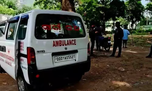 Balasore: नीलगिरी में फूल तोड़ते समय करंट लगने से युवक की मौत