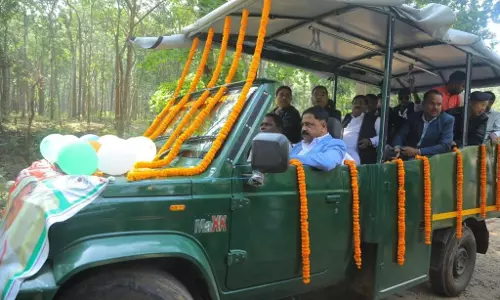 Latehar: जंगल सफारी नेतरहाट में, शुल्क और समय की पूरी जानकारी Latehar: जंगल सफारी नेतरहाट में, शुल्क और समय की पूरी जानकारी