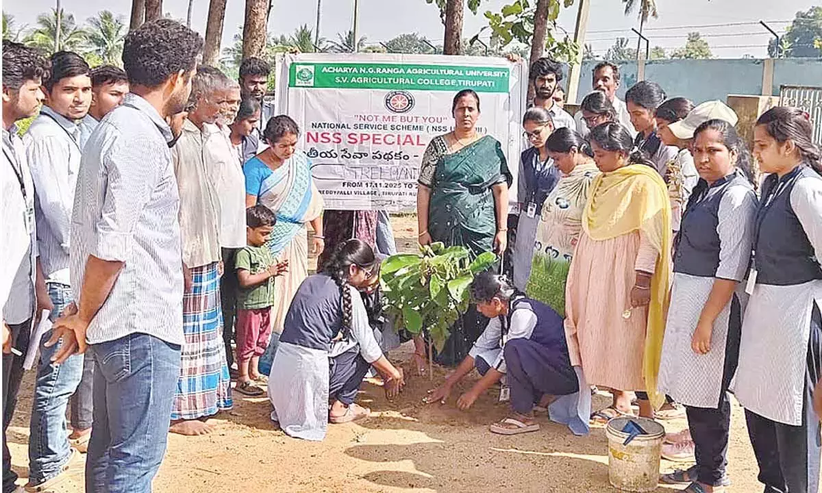 Andhra: NSS स्वयंसेवकों ने पौधे लगाए Andhra: NSS स्वयंसेवकों ने पौधे लगाए