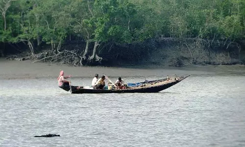 दिसंबर में Sundarbans tourism 2 दिन के लिए बंद है, क्या आपके पास बुकिंग नहीं है?