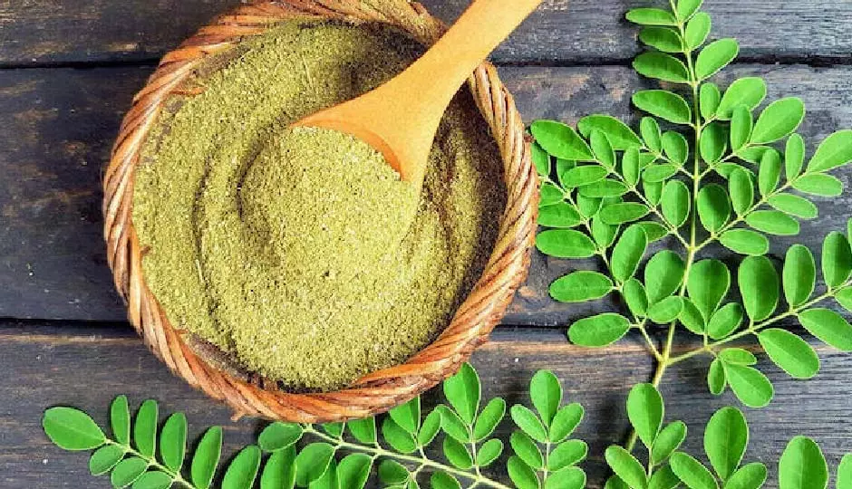 Health: पेट की चर्बी पिघलाने के लिए सहजन की पत्तियों का इस तरह करें इस्तेमाल Health: पेट की चर्बी पिघलाने के लिए सहजन की पत्तियों का इस तरह करें इस्तेमाल