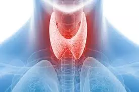 Yoga For Thyroid: सर्दियों में इन योग आसनों से थायराइड से तुरंत राहत पाएं Yoga For Thyroid: सर्दियों में इन योग आसनों से थायराइड से तुरंत राहत पाएं