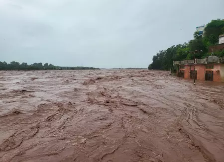 वियतनाम में बाढ़ की तबाही: 67,700 से ज्यादा घर डूबे, अनाज और पशुओं पर भी आया संकट वियतनाम में बाढ़ की तबाही: 67,700 से ज्यादा घर डूबे, अनाज और पशुओं पर भी आया संकट
