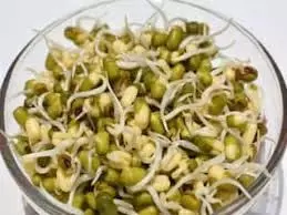 Weight loss : इन 5 तरह के स्प्राउट्स को आप कर सकती हैं ट्राई Weight loss : इन 5 तरह के स्प्राउट्स को आप कर सकती हैं ट्राई