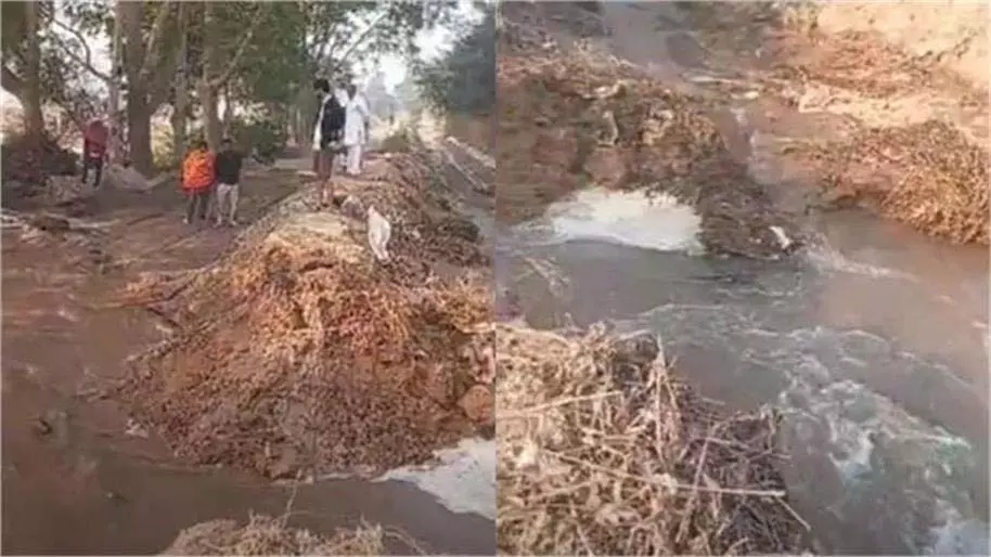 Haryana : खेड़ी माइनर नहर में दरार,10 एकड़ फसल जलमग्न Haryana : खेड़ी माइनर नहर में दरार,10 एकड़ फसल जलमग्न