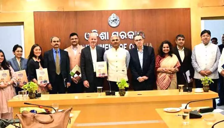 वर्ल्ड बैंक के डेलीगेशन ने Odisha के अधिकारियों से मुलाकात की वर्ल्ड बैंक के डेलीगेशन ने Odisha के अधिकारियों से मुलाकात की