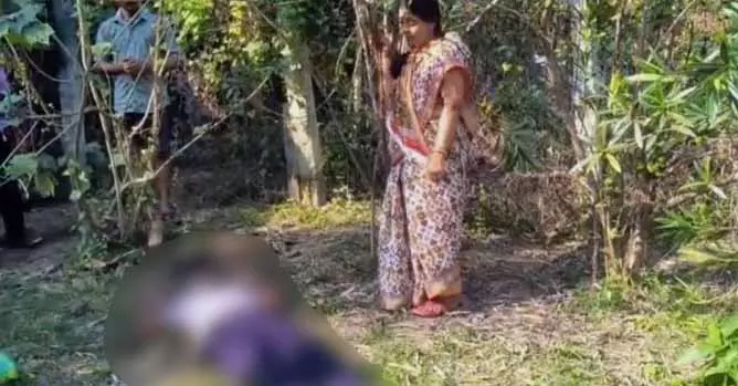 Nilgiris में फूल तोड़ते समय करंट लगने से युवक की मौत Nilgiris में फूल तोड़ते समय करंट लगने से युवक की मौत