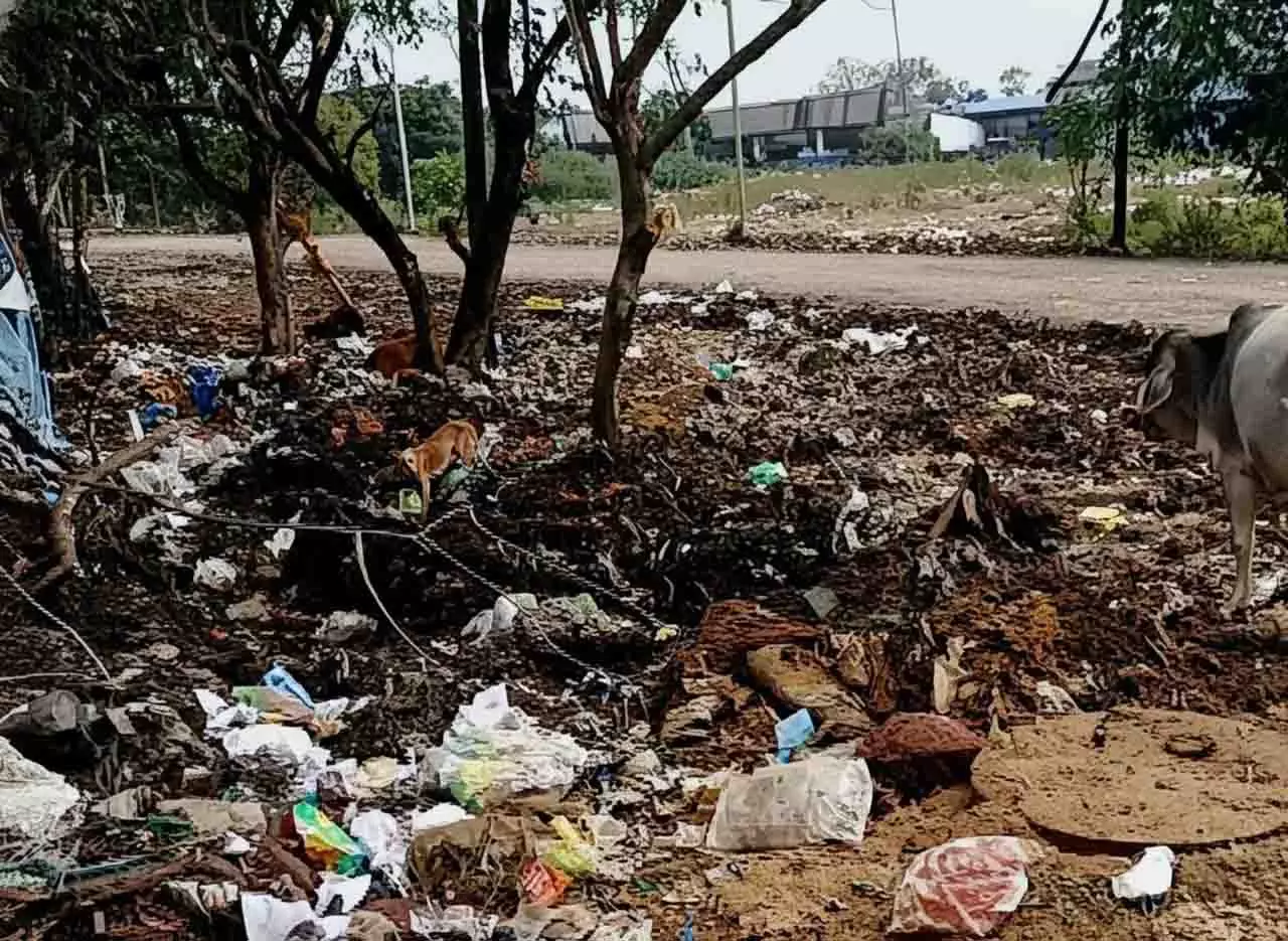 स्थानीय लोग चिंतित, भुवनेश्वर के K-6 में बढ़ रही कचरा डंपिंग स्थानीय लोग चिंतित, भुवनेश्वर के K-6 में बढ़ रही कचरा डंपिंग