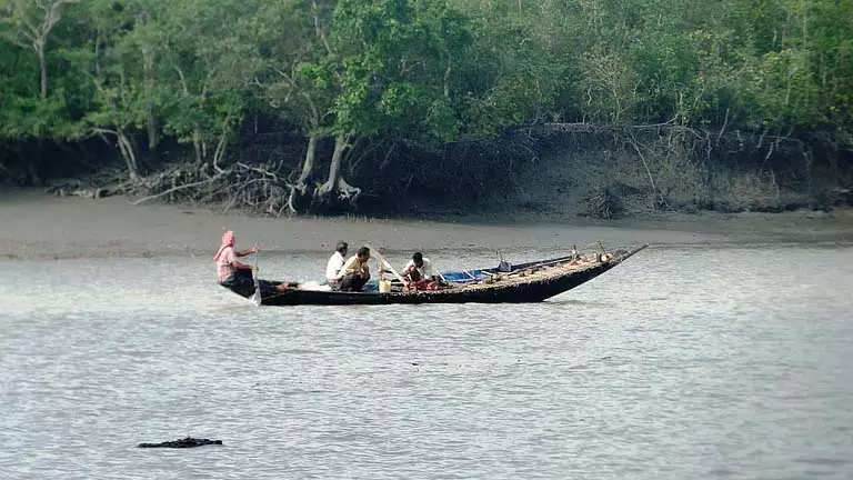 दिसंबर में Sundarbans tourism 2 दिन के लिए बंद है, क्या आपके पास बुकिंग नहीं है? दिसंबर में Sundarbans tourism 2 दिन के लिए बंद है, क्या आपके पास बुकिंग नहीं है?