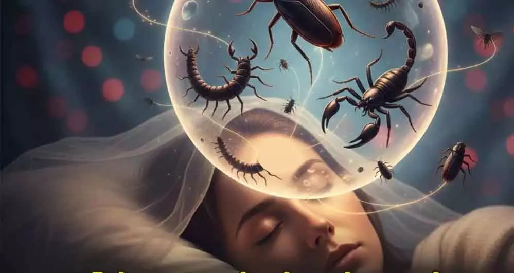 Dream Astrology: सपनों में कीड़े‑मकोड़े बार-बार दिखना, क्या है इसका मतलब? Dream Astrology: सपनों में कीड़े‑मकोड़े बार-बार दिखना, क्या है इसका मतलब?