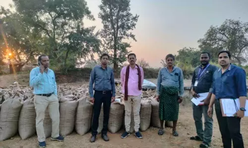 राजस्व विभाग की कार्रवाई, बसना में 545 कट्टा अवैध धान जब्त
