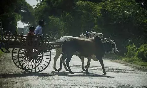 नांदेड़ के किसान MSP सेंटर एक महीने देर से खुलने से परेशान