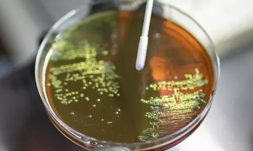 WHO का अलर्ट: बढ़ती AMR दुनिया के स्वास्थ्य सिस्टम के लिए बड़ा खतरा