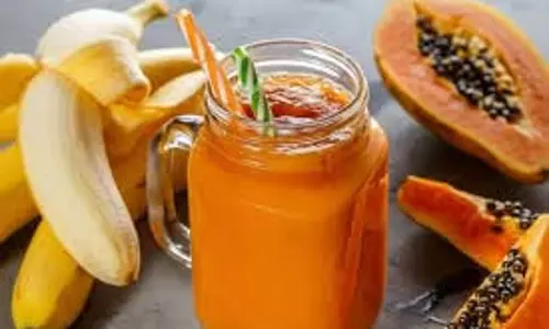 Healthy Papaya Smoothie Recipe: सर्दियों में इम्यूनिटी बढ़ाने वाली पपीता स्मूदी कैसे बनाएं Healthy Papaya Smoothie Recipe: सर्दियों में इम्यूनिटी बढ़ाने वाली पपीता स्मूदी कैसे बनाएं