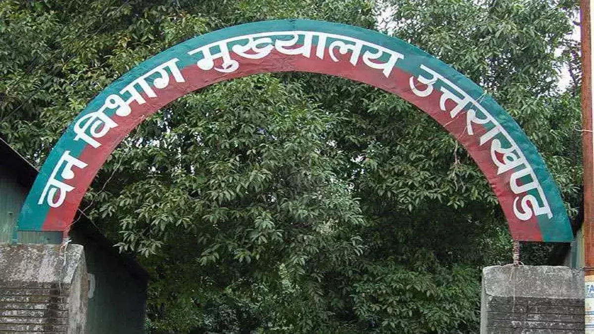 Haridwar: वन विभाग की मुख्य परीक्षा 24 नवंबर से शुरू Haridwar: वन विभाग की मुख्य परीक्षा 24 नवंबर से शुरू