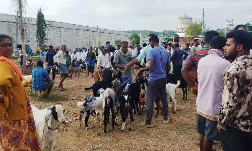 Ramnagar : जयापुरा गेट पर साप्ताहिक उत्सव Ramnagar : जयापुरा गेट पर साप्ताहिक उत्सव