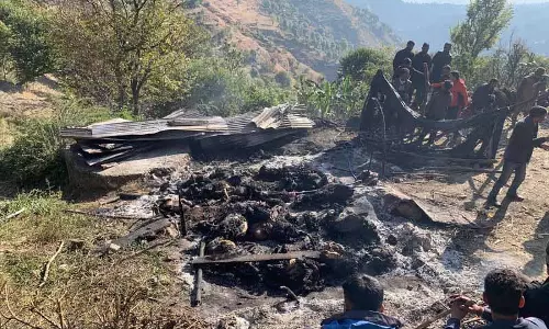 Khadi village में आग लगने से 60 बकरियां मर गईं और दो गायें घायल हो गईं Khadi village में आग लगने से 60 बकरियां मर गईं और दो गायें घायल हो गईं