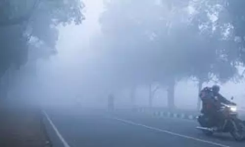 Chandigarh: मौसम विभाग ने दी चेतावनी, हरियाणा में सर्दी और कोहरा