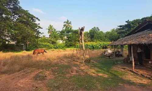 Bhatkal : दाह संस्कार के लिए भी लकड़ी नहीं मिल रही