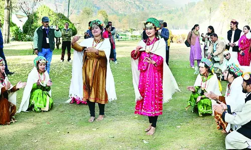 हिमाचली धुनों पर थिरके देशभर के अधिकारी हिमाचली धुनों पर थिरके देशभर के अधिकारी