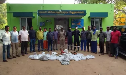 इंडियन कोस्ट गार्ड की बड़ी कामयाबी, करीब 2 करोड़ के सी कुकुम्बर जब्त इंडियन कोस्ट गार्ड की बड़ी कामयाबी, करीब 2 करोड़ के सी कुकुम्बर जब्त