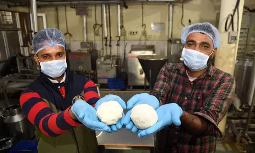 Punjab ने बकरी पनीर का एक बोल्ड नमूना पेश किया