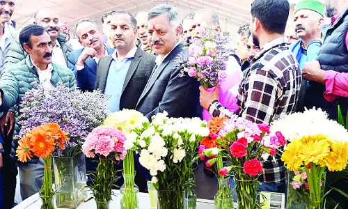 जल तरंग जोश महोत्सव-2025 का आगाज, हवा से बरसे पुष्प जल तरंग जोश महोत्सव-2025 का आगाज, हवा से बरसे पुष्प