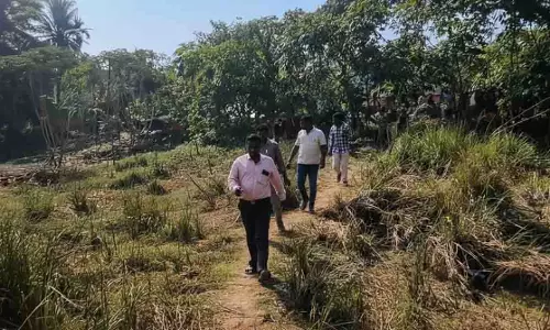 कटक गांव में दहशत, मरी मछली को बाघ का बच्चा समझ लिया