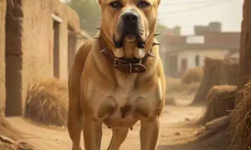 Dog का हमला: 25 घायल, फायर कर्मचारी की दर्दनाक मौत