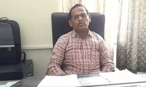 नासिक में सामने आया अफ्रीकी स्वाइन फीवर का मामला, प्रशासन अलर्ट नासिक में सामने आया अफ्रीकी स्वाइन फीवर का मामला, प्रशासन अलर्ट