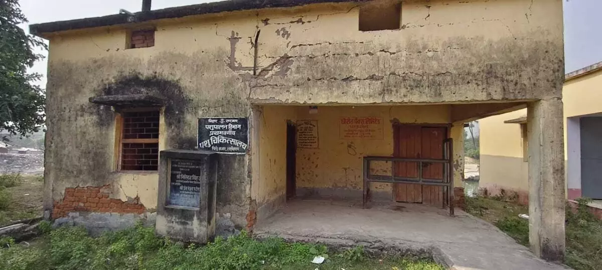 Farrukhabad: पशु चिकित्सालय में गंभीर अभाव, डॉक्टर ड्यूटी पर, अस्पताल बंद Farrukhabad: पशु चिकित्सालय में गंभीर अभाव, डॉक्टर ड्यूटी पर, अस्पताल बंद