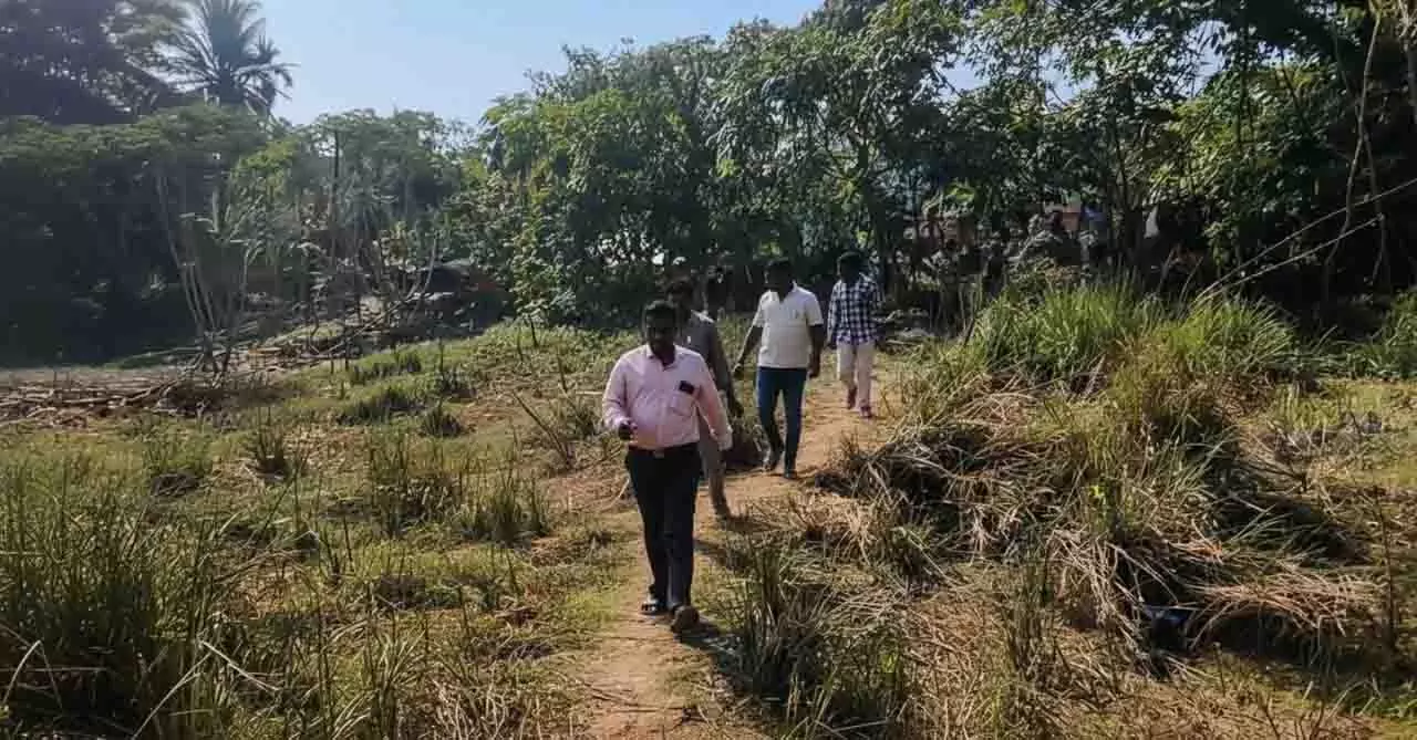 कटक गांव में दहशत, मरी मछली को बाघ का बच्चा समझ लिया कटक गांव में दहशत, मरी मछली को बाघ का बच्चा समझ लिया
