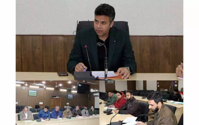 DC Budgam ने बिजली ट्रांसमिशन टावरों की स्थिति की समीक्षा की DC Budgam ने बिजली ट्रांसमिशन टावरों की स्थिति की समीक्षा की