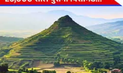 Science: इंडोनेशिया की खोज ने दुनिया भर के वैज्ञानिकों में खलबली Science: इंडोनेशिया की खोज ने दुनिया भर के वैज्ञानिकों में खलबली