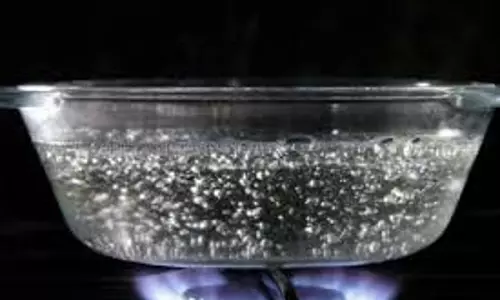 Science:  जानिए  माइक्रोवेव  में उबलते पाने में बुलबुले क्यों नहीं बनते