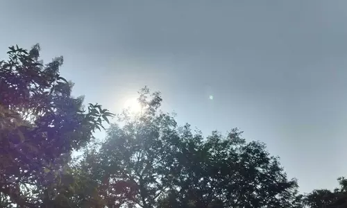 ठंड का असर ठंडा पड़ा, जानिए मौसम अपडेट