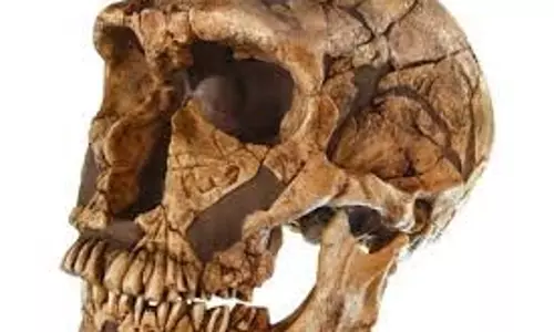 Science : इटली की गुफा में मिली 1,30,000 साल पुरानी इंसानी खोपड़ी