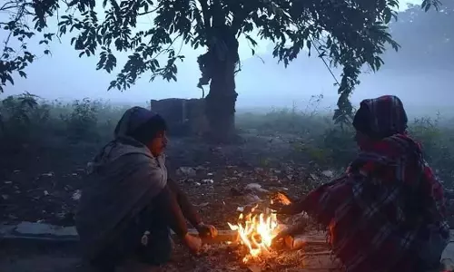 राज्य में 3 और दिन कड़ाके की ठंड पड़ने की उम्मीद; इंदौर, भोपाल, ग्वालियर और दूसरे इलाकों में तापमान में गिरावट